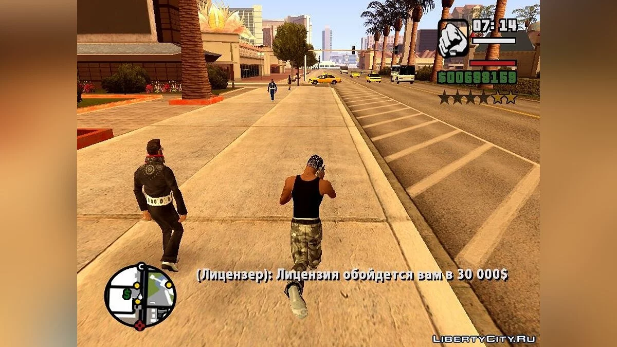 Gun License / GTA San Andreas