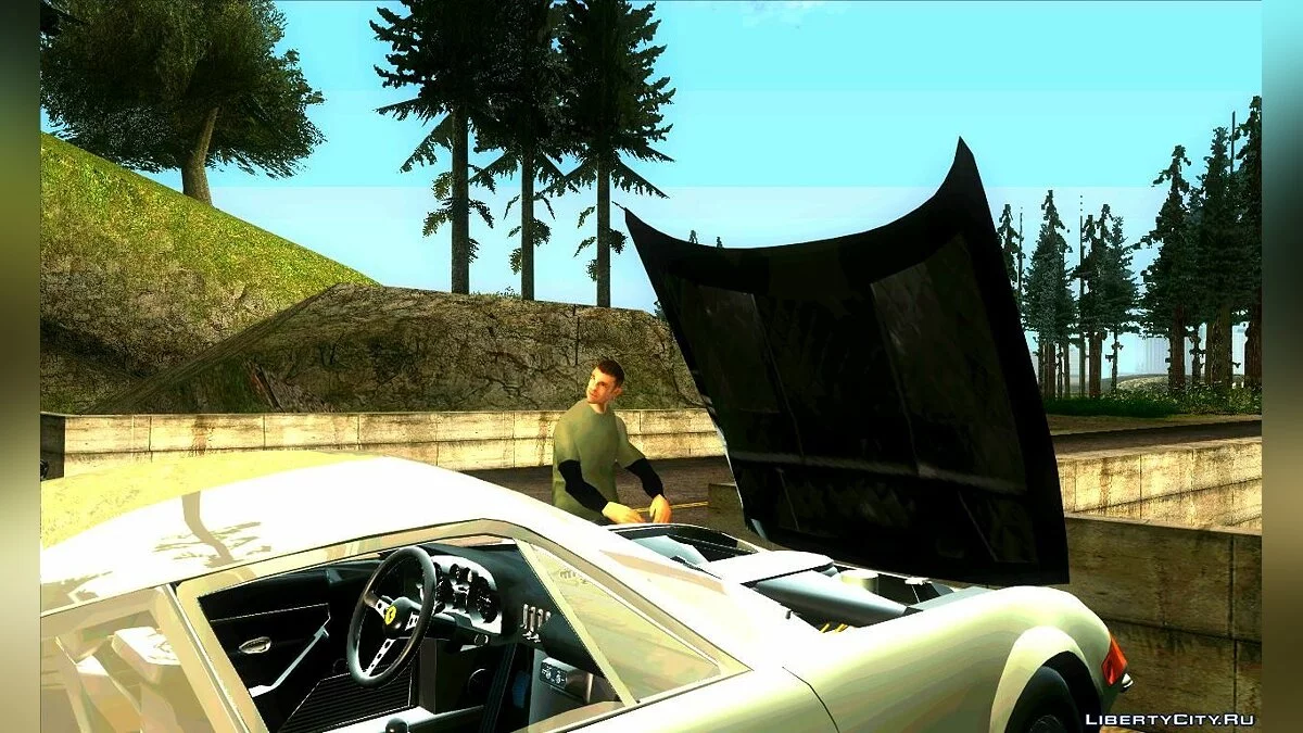 Life Situation v2.0 / GTA San Andreas