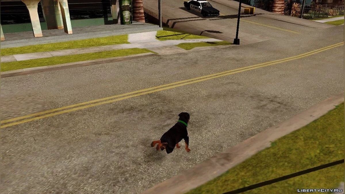 Ability to Play as Animals in GTA San Andreas from GTA V / GTA San Andreas