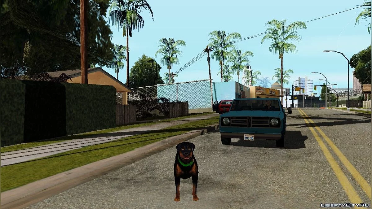 Ability to Play as Animals in GTA San Andreas from GTA V / GTA San Andreas
