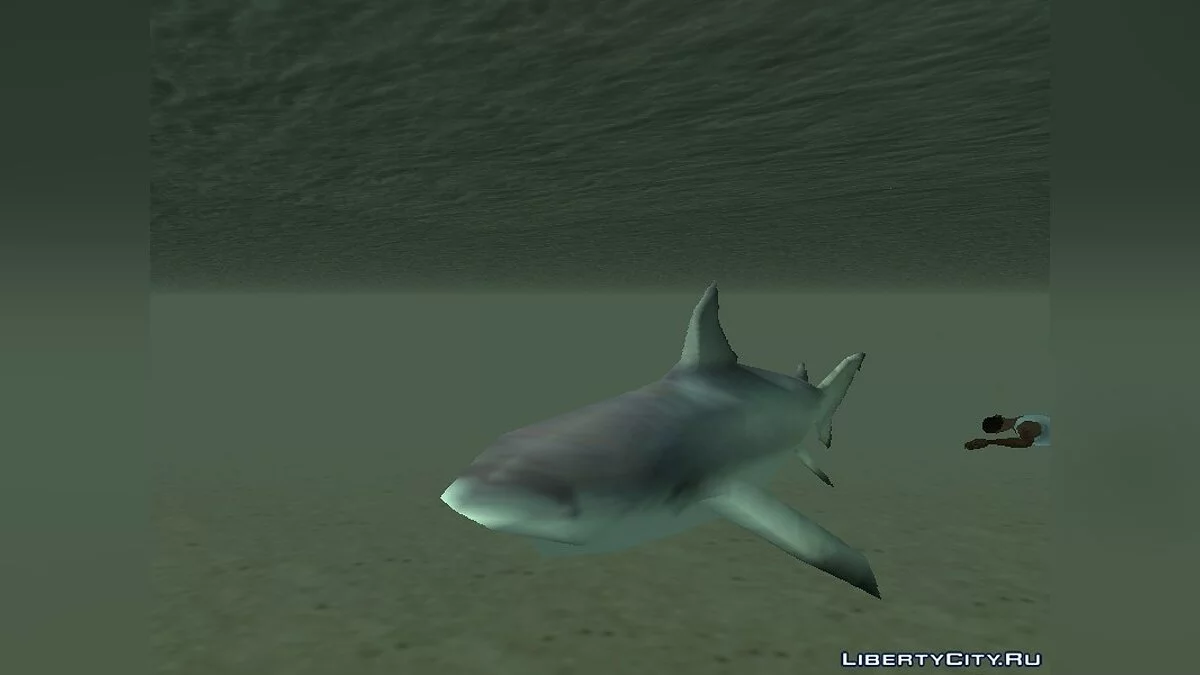 Attaque des Requins (Sharks Attack) / GTA San Andreas