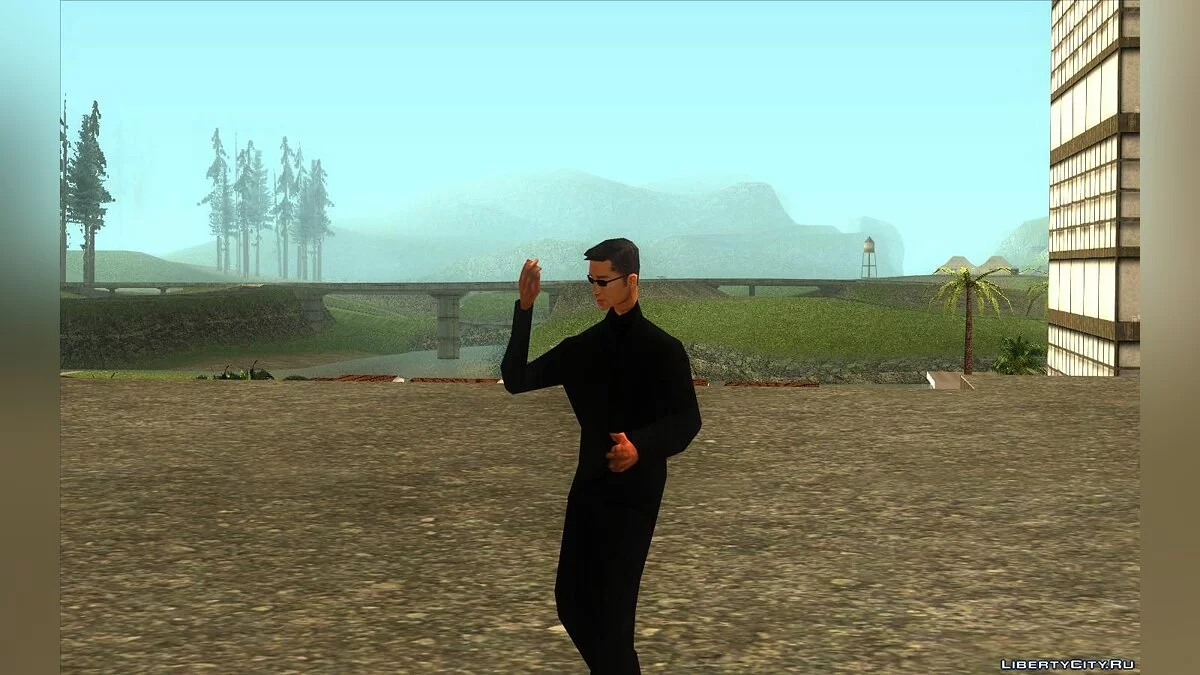 В гостях у Вузи / GTA San Andreas
