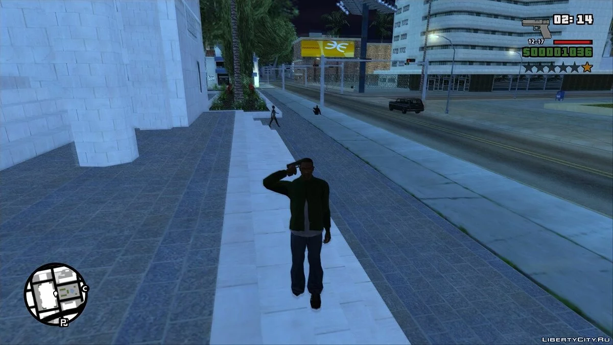 Salute / GTA San Andreas