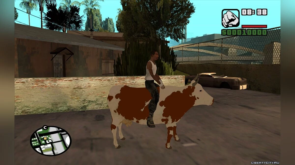 The Ability to Ride a Cow / GTA San Andreas