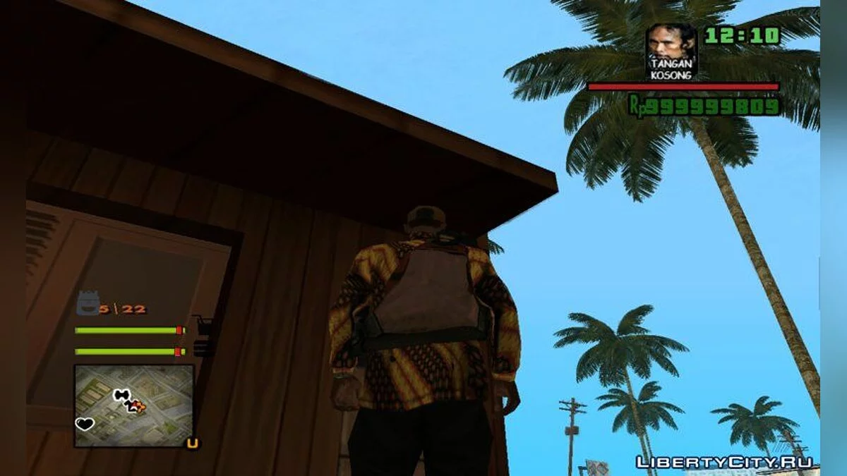 Инвентарь + Потребности CJ / GTA San Andreas