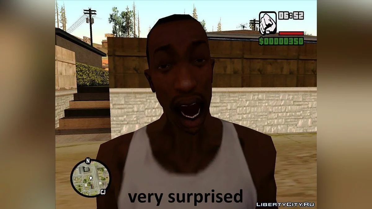 CJ的面部表情 / GTA San Andreas