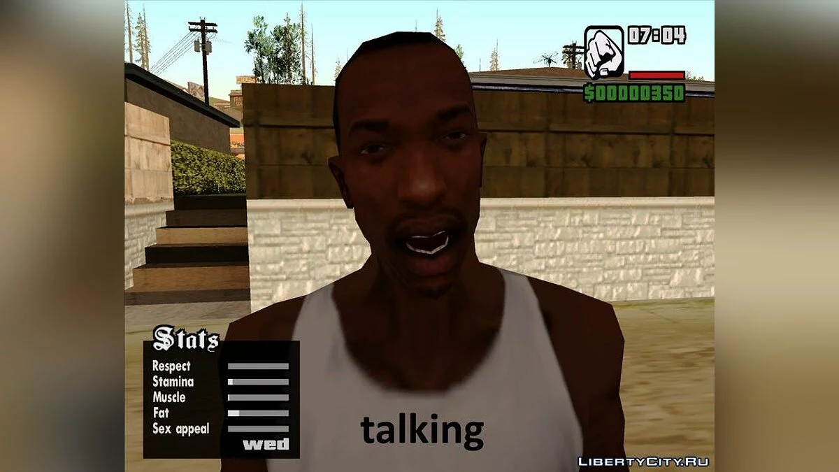 CJ的面部表情 / GTA San Andreas
