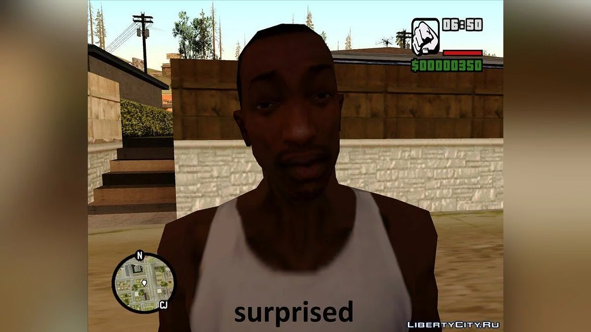 CJ的面部表情 / GTA San Andreas