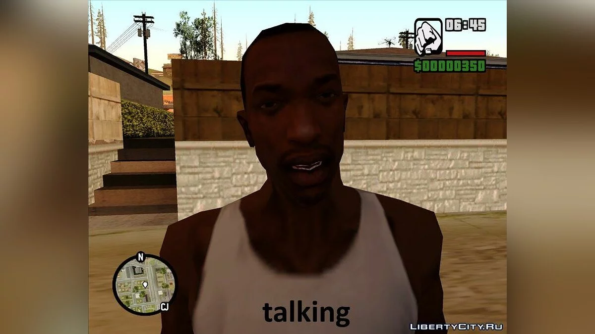 CJ的面部表情 / GTA San Andreas