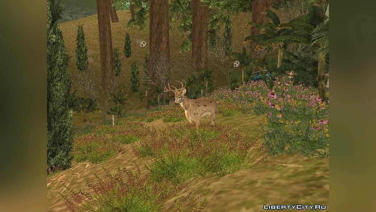 Deer in the Forest / GTA San Andreas