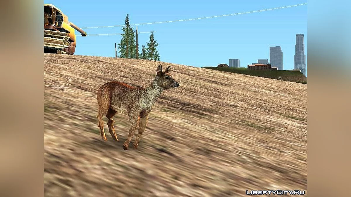 Deer in the Forest / GTA San Andreas