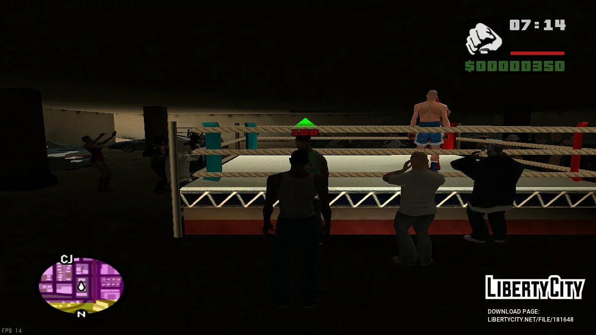 Health Display / GTA San Andreas