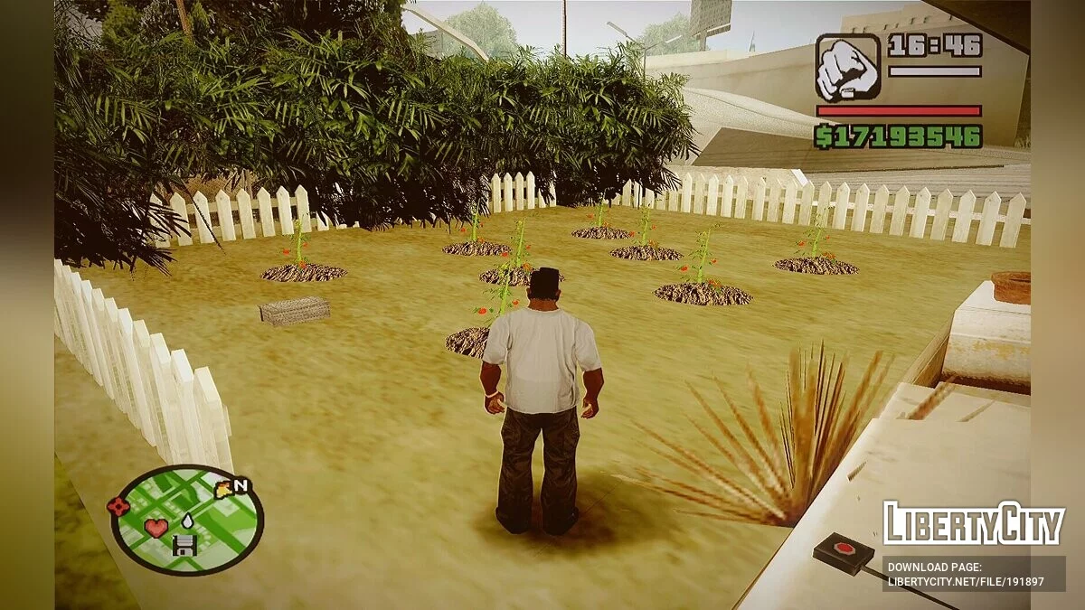 Вирощування овочів будь-де / GTA San Andreas