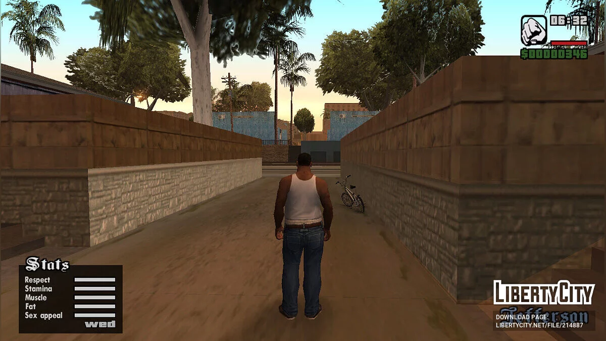 Starter Stats Editor / GTA San Andreas
