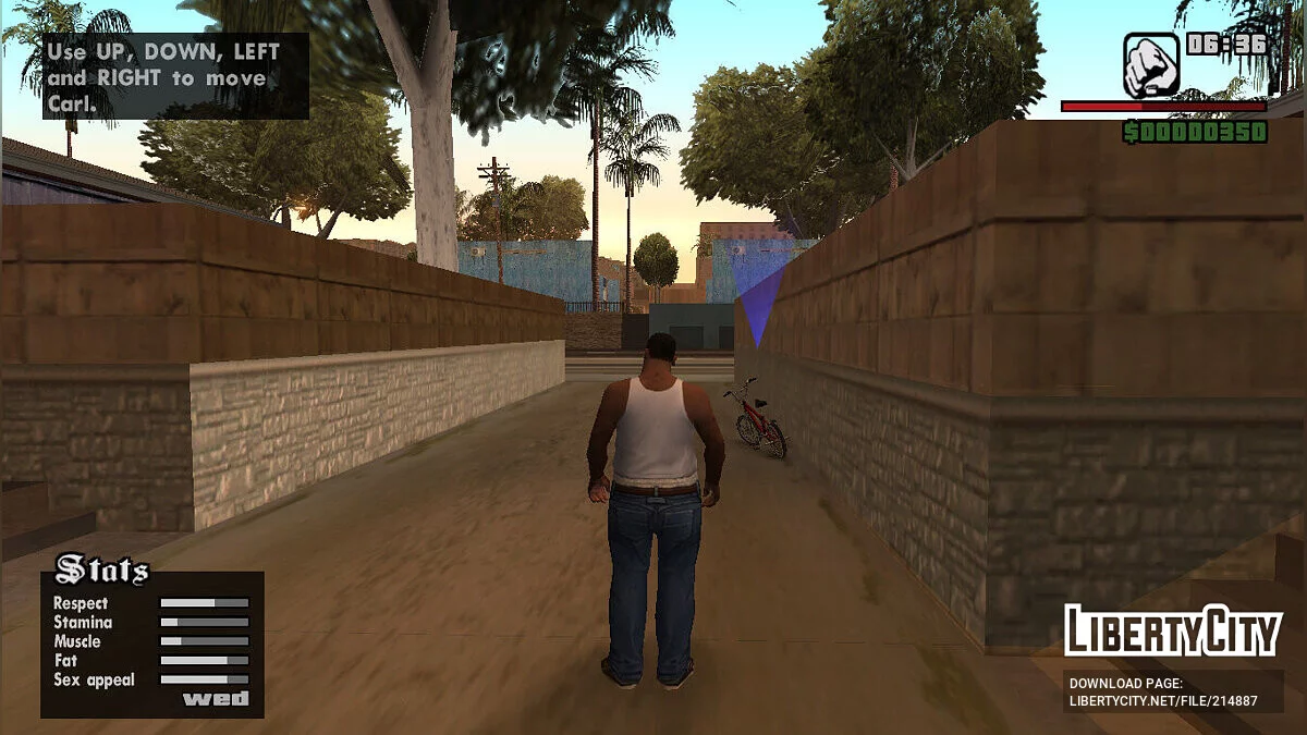 Starter Stats Editor / GTA San Andreas