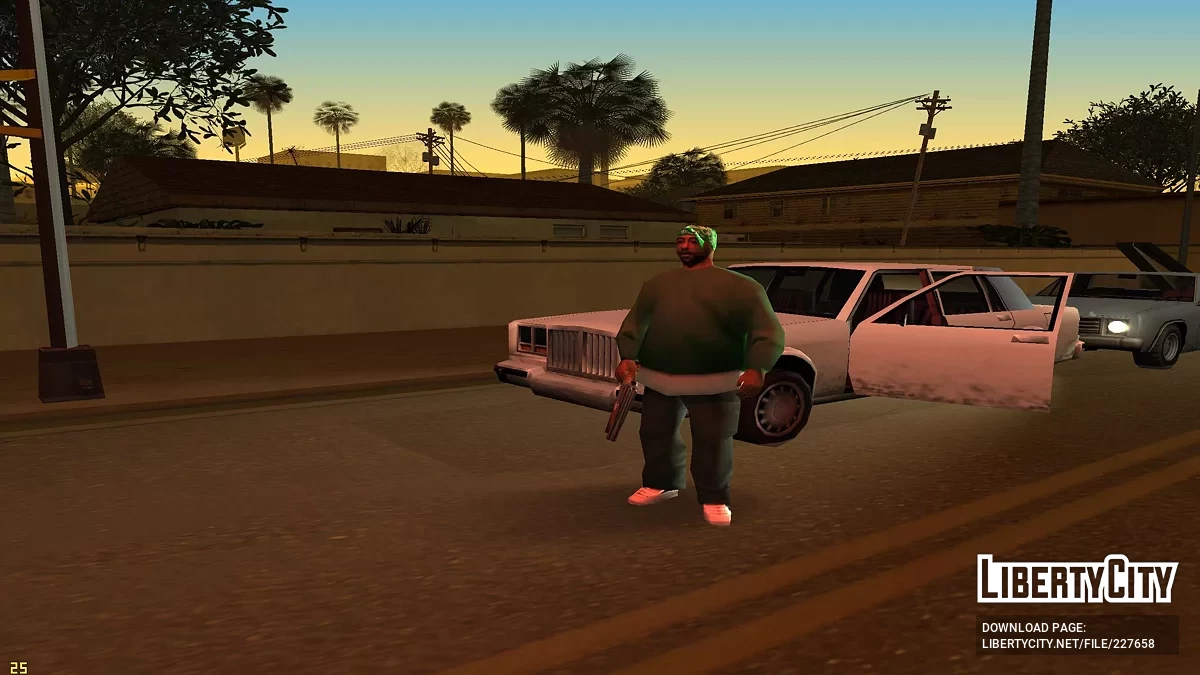 Brüder mit Schrotflinten / GTA San Andreas