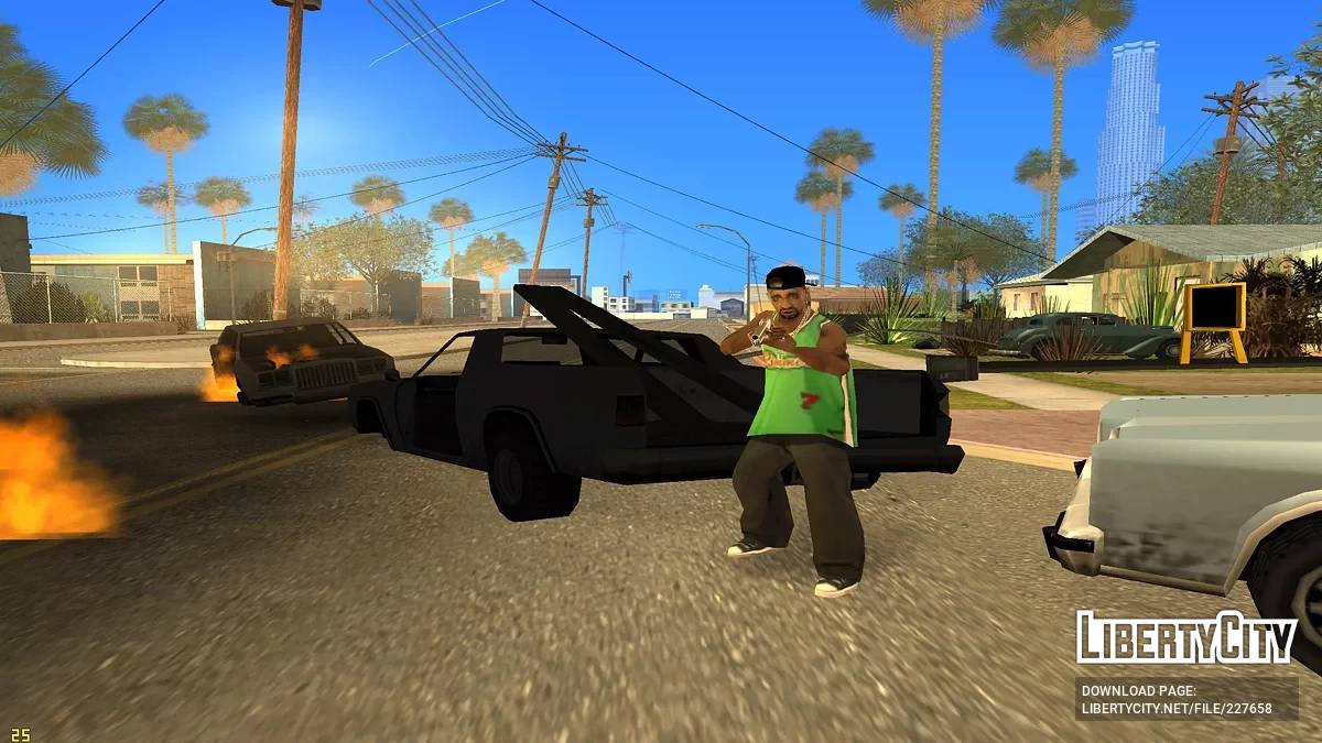 Brüder mit Schrotflinten / GTA San Andreas