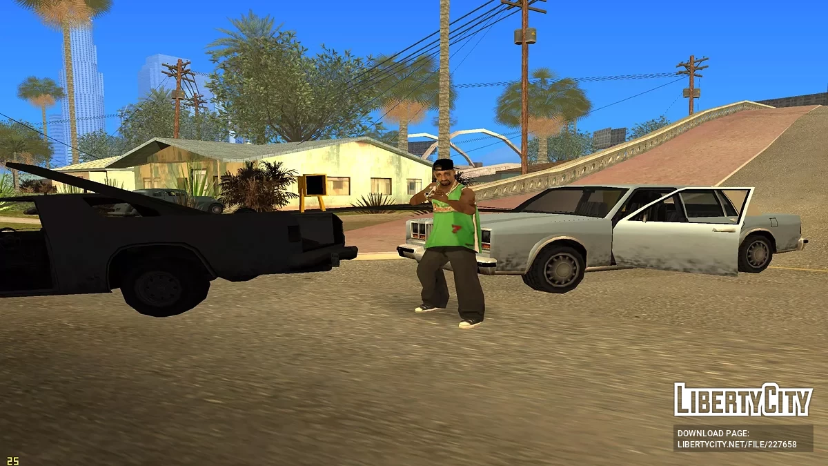 Brüder mit Schrotflinten / GTA San Andreas