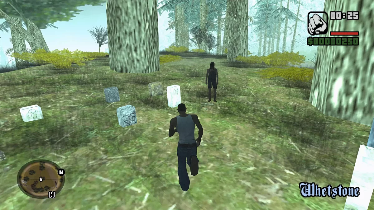 L'origine de la Maison de la Mort / GTA San Andreas
