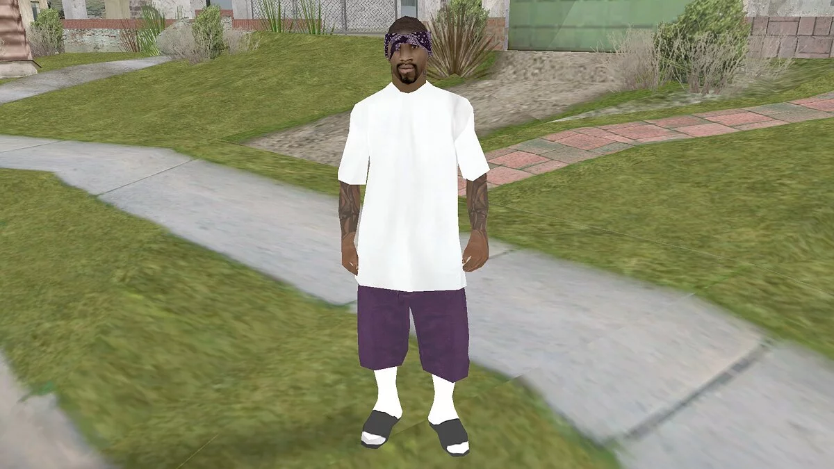 Skins de haute qualité pour tous les gangs / GTA San Andreas