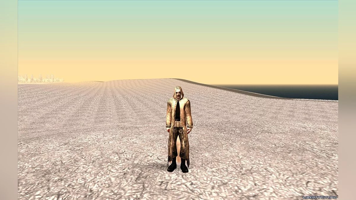 S.T.A.L.K.E.R.冬季皮肤合集 / GTA San Andreas
