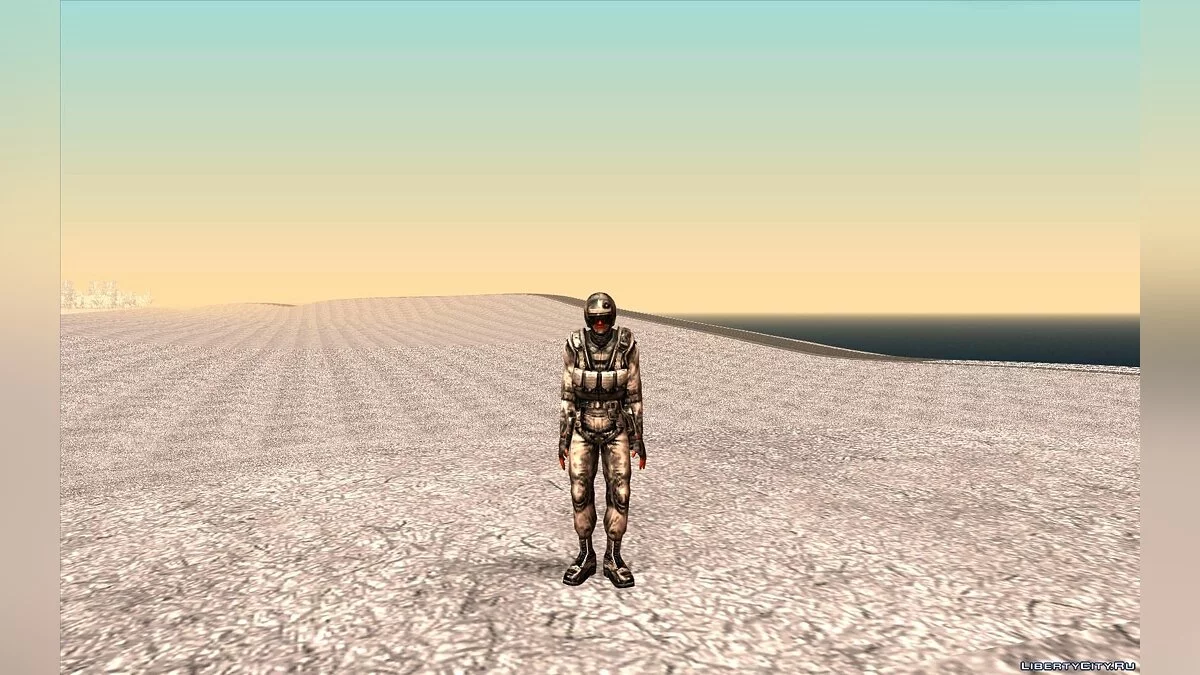 S.T.A.L.K.E.R.冬季皮肤合集 / GTA San Andreas