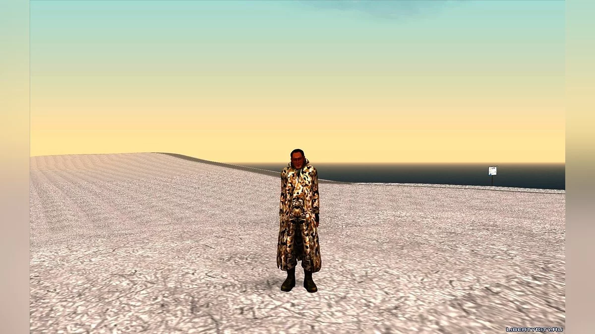 S.T.A.L.K.E.R.冬季皮肤合集 / GTA San Andreas