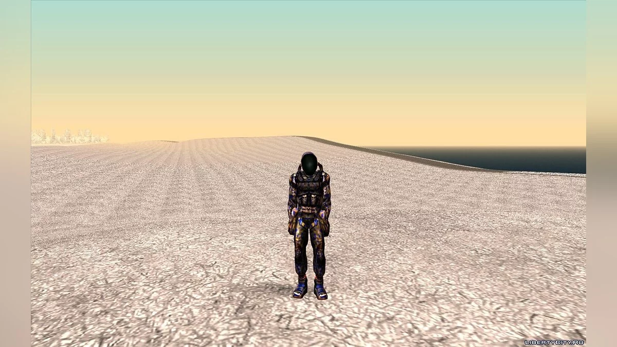 S.T.A.L.K.E.R.冬季皮肤合集 / GTA San Andreas