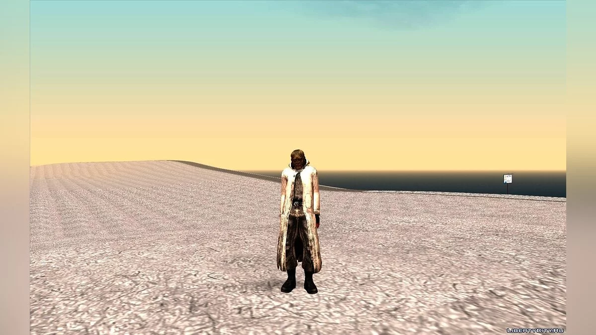 S.T.A.L.K.E.R.冬季皮肤合集 / GTA San Andreas