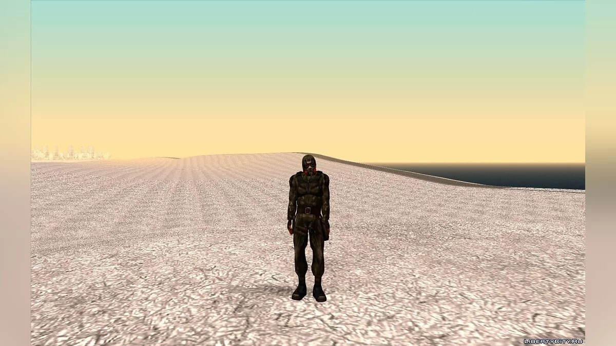 S.T.A.L.K.E.R.冬季皮肤合集 / GTA San Andreas