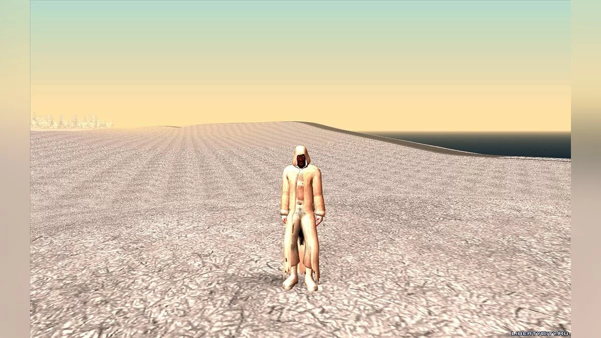 S.T.A.L.K.E.R.冬季皮肤合集 / GTA San Andreas