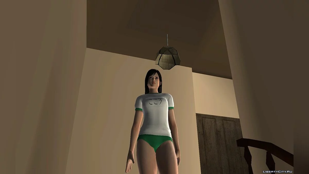 Pack de Gym Kokoro / GTA San Andreas