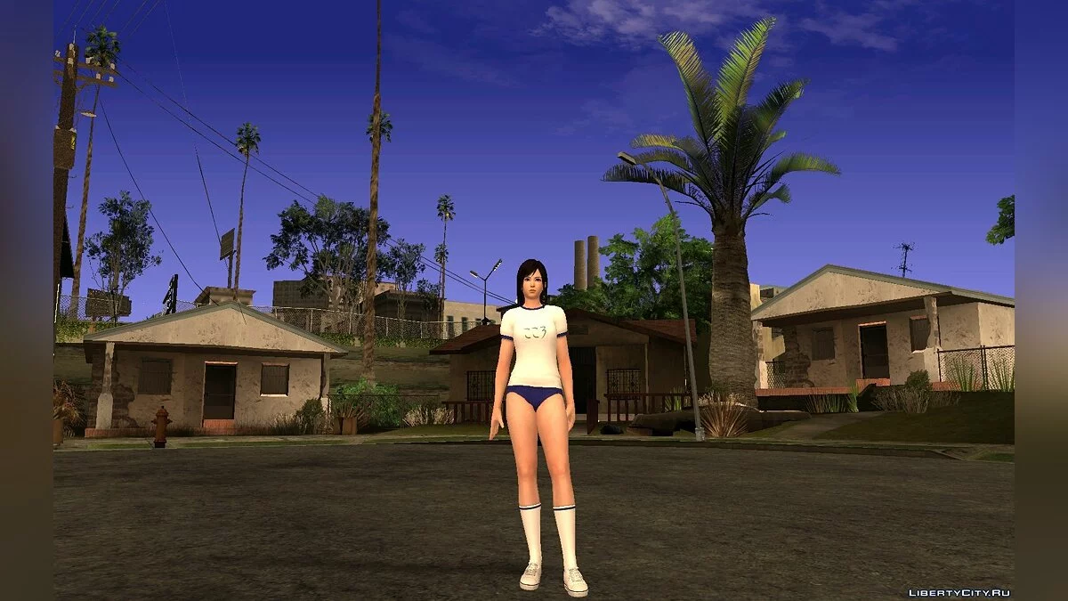 Pack de Gym Kokoro / GTA San Andreas