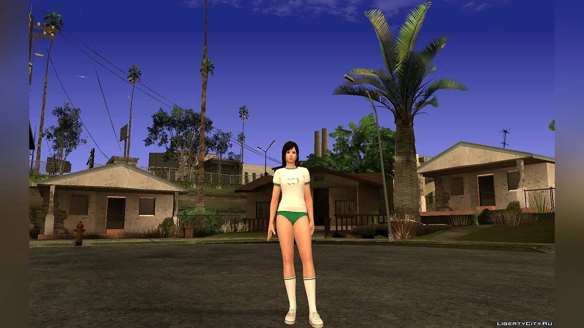 Pack de Gym Kokoro / GTA San Andreas
