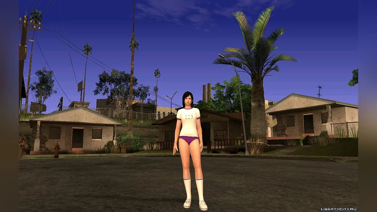 Pack de Gym Kokoro / GTA San Andreas