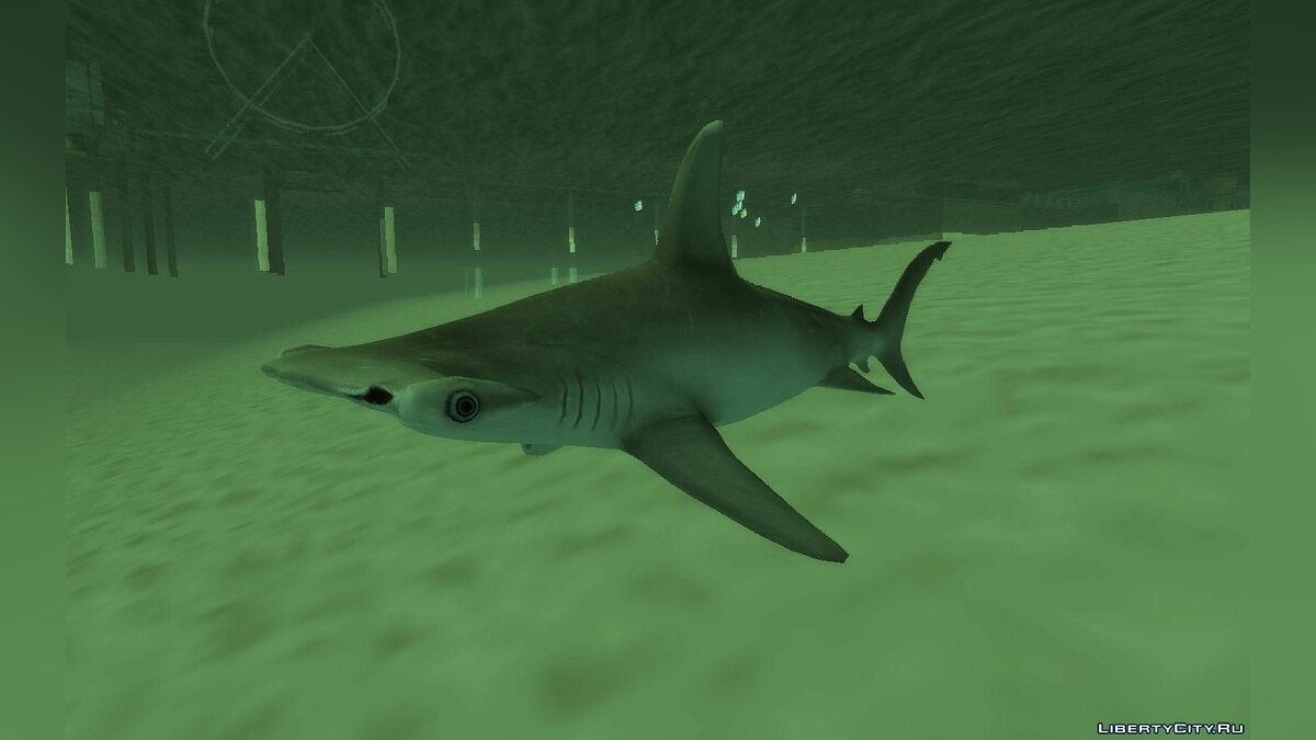 Hammerhead Shark  GTA 5 Animals, How To Play & Where To Find
