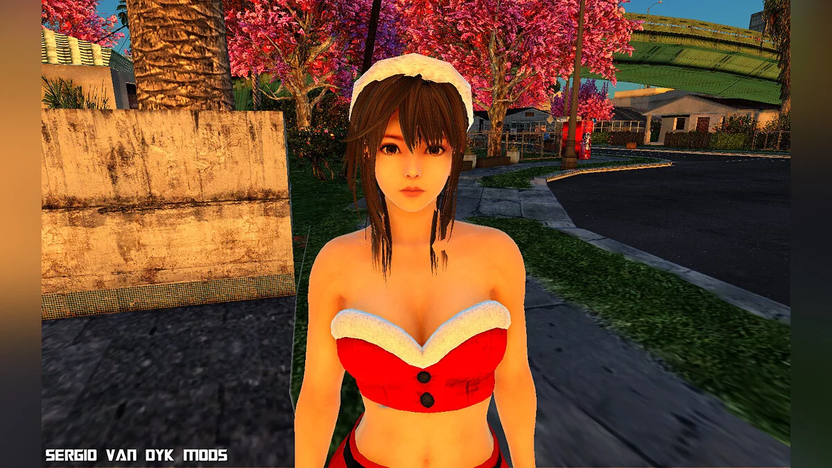 مجموعة عيد الميلاد الضخمة من Dead or Alive / جي تي إيه سان أندرياس