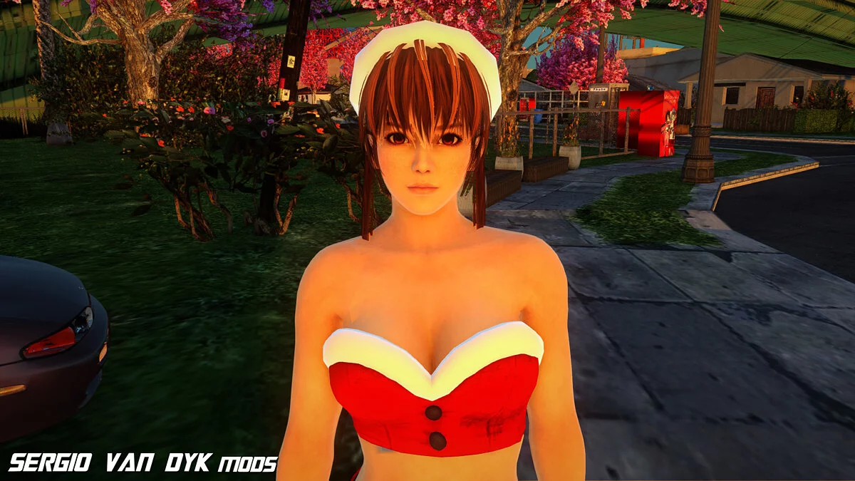 مجموعة عيد الميلاد الضخمة من Dead or Alive / جي تي إيه سان أندرياس
