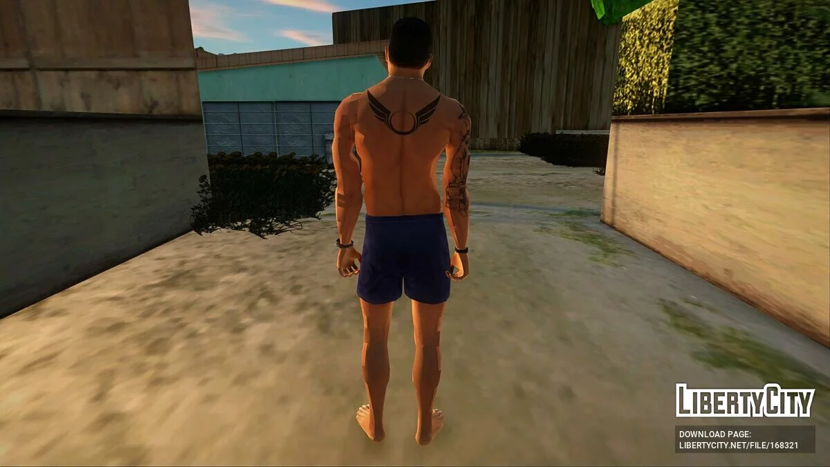Collection of skins from GTA 5 / GTA San Andreas