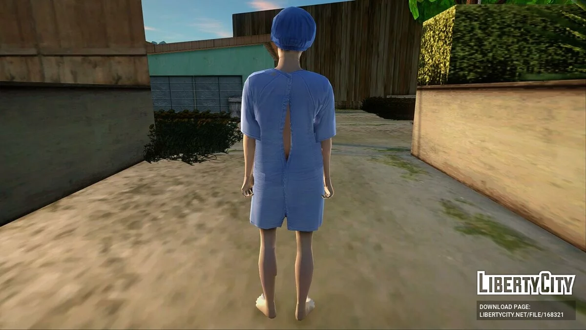 Collection of skins from GTA 5 / GTA San Andreas
