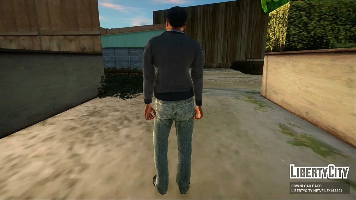 Collection of skins from GTA 5 / GTA San Andreas