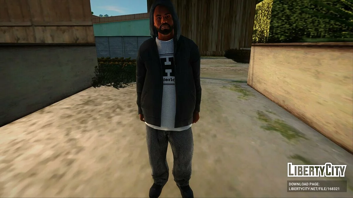 Collection of skins from GTA 5 / GTA San Andreas