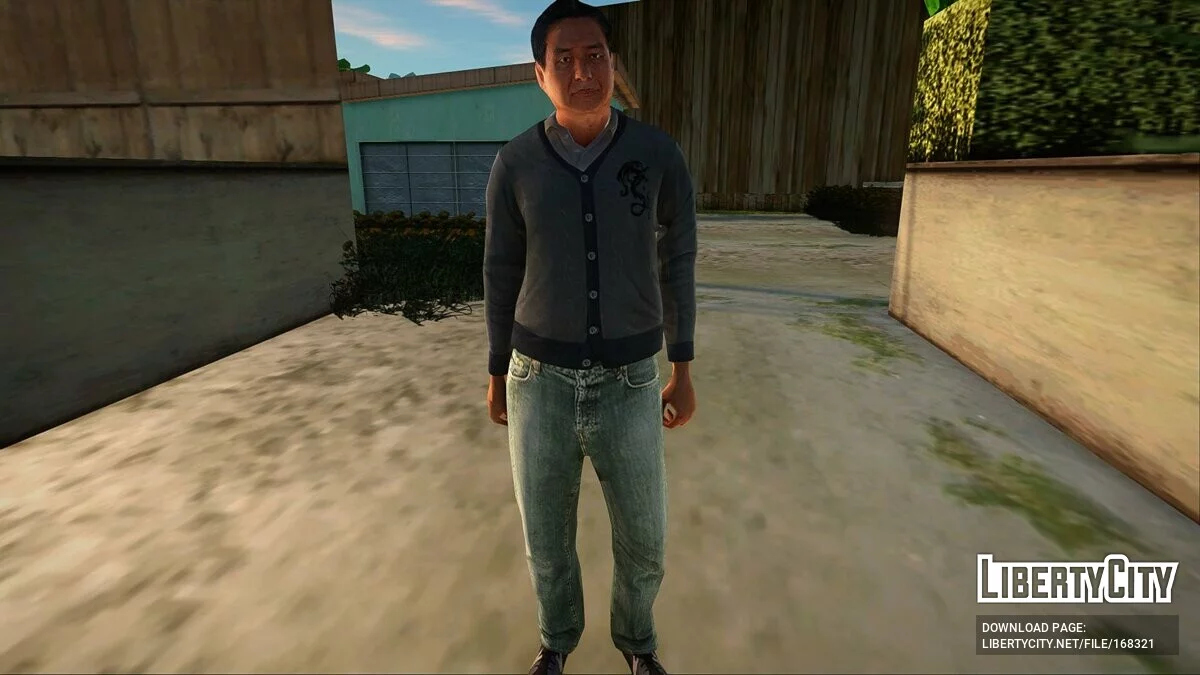 Collection of skins from GTA 5 / GTA San Andreas