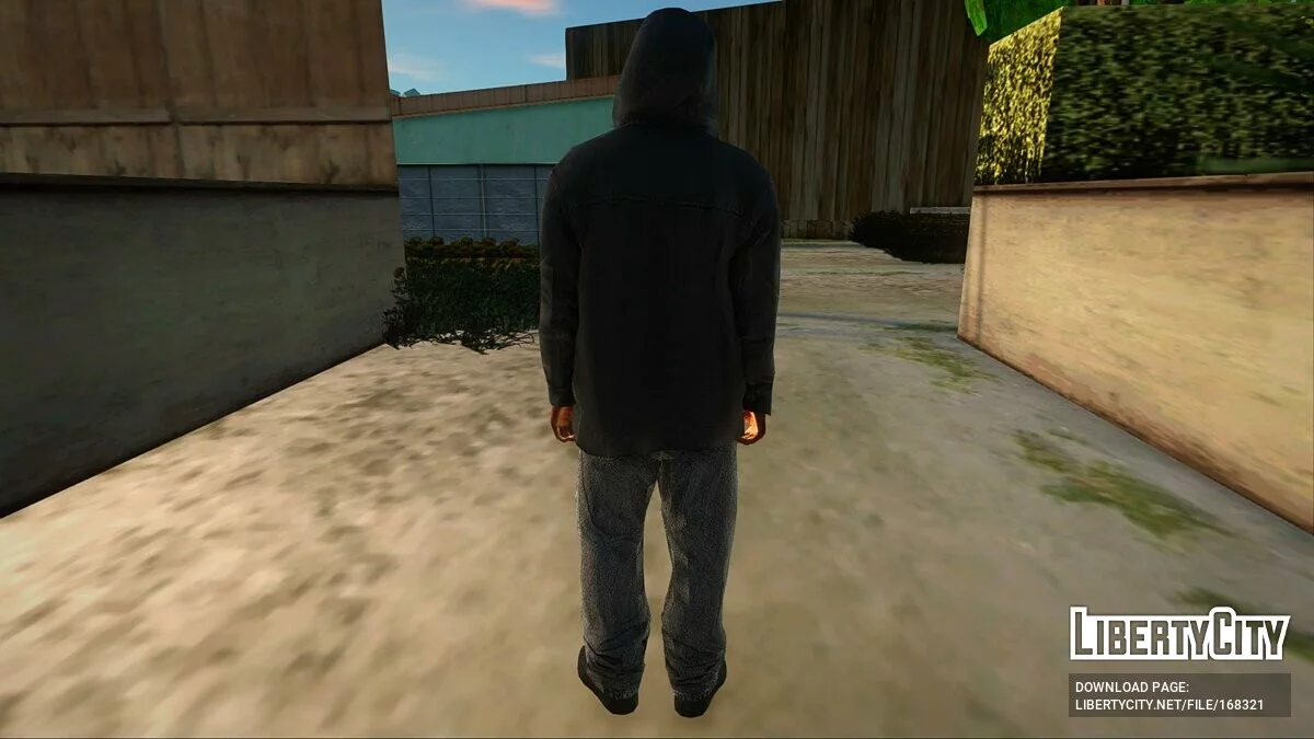 Collection of skins from GTA 5 / GTA San Andreas