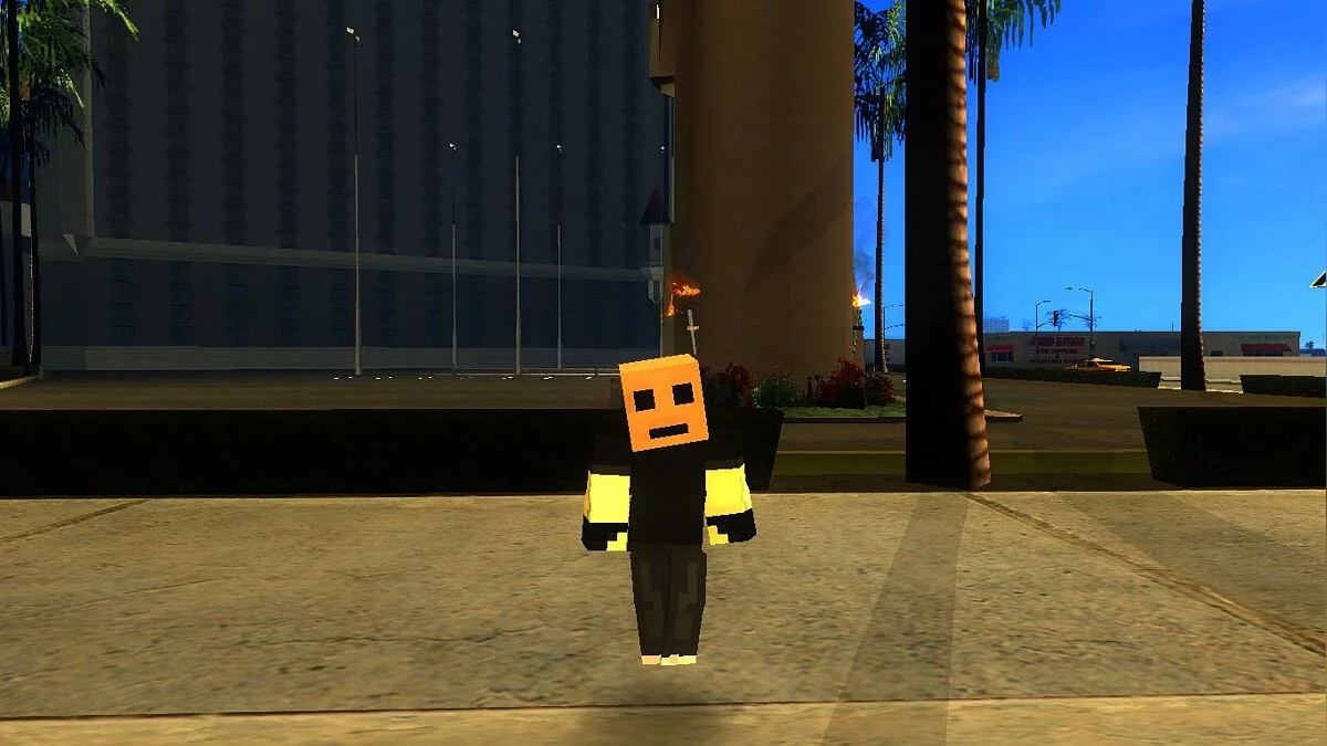 Сборник скинов из игры Minecraft / GTA San Andreas