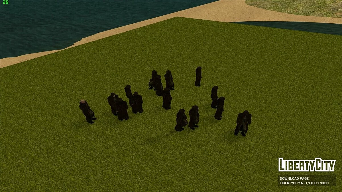 Die Gruppierung «Schamanen» aus S.T.A.L.K.E.R / GTA San Andreas
