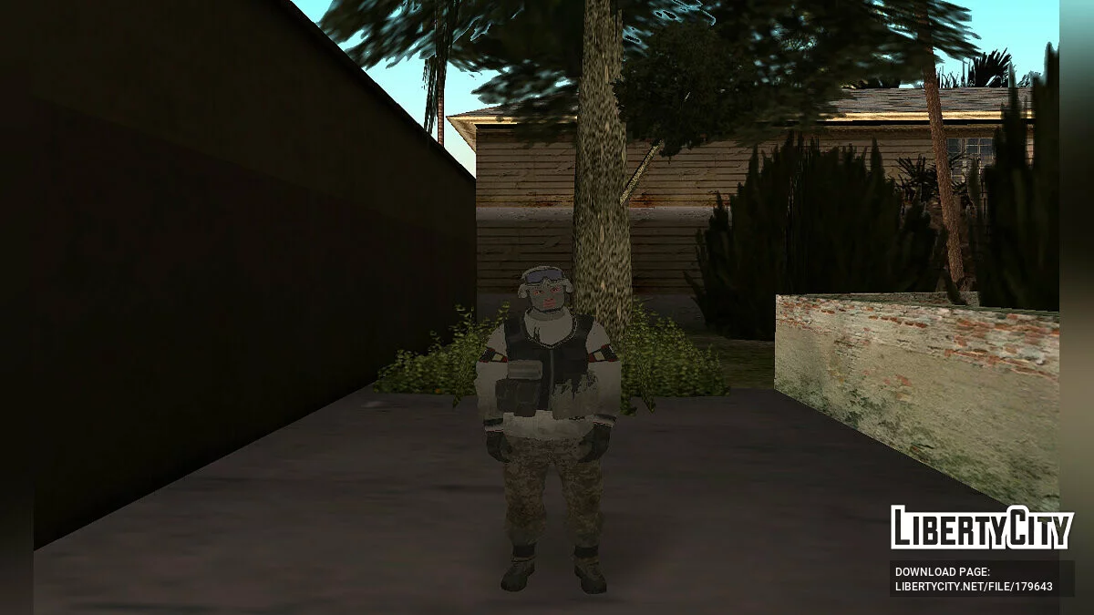 Пак персонажів з Tom Clancy's The Division / GTA San Andreas