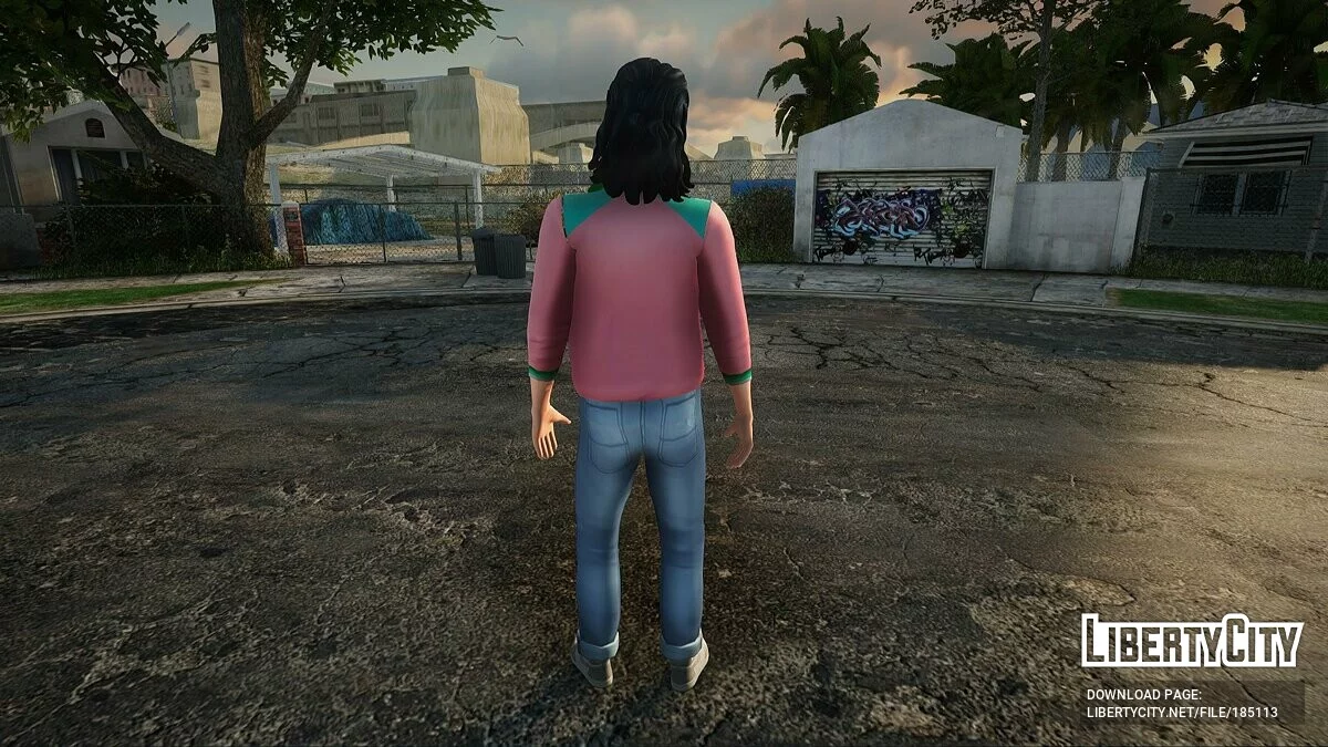 皮肤包合集 (VCS) #31 / GTA San Andreas