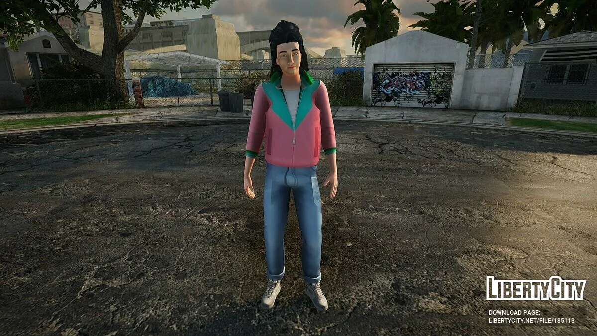 皮肤包合集 (VCS) #31 / GTA San Andreas