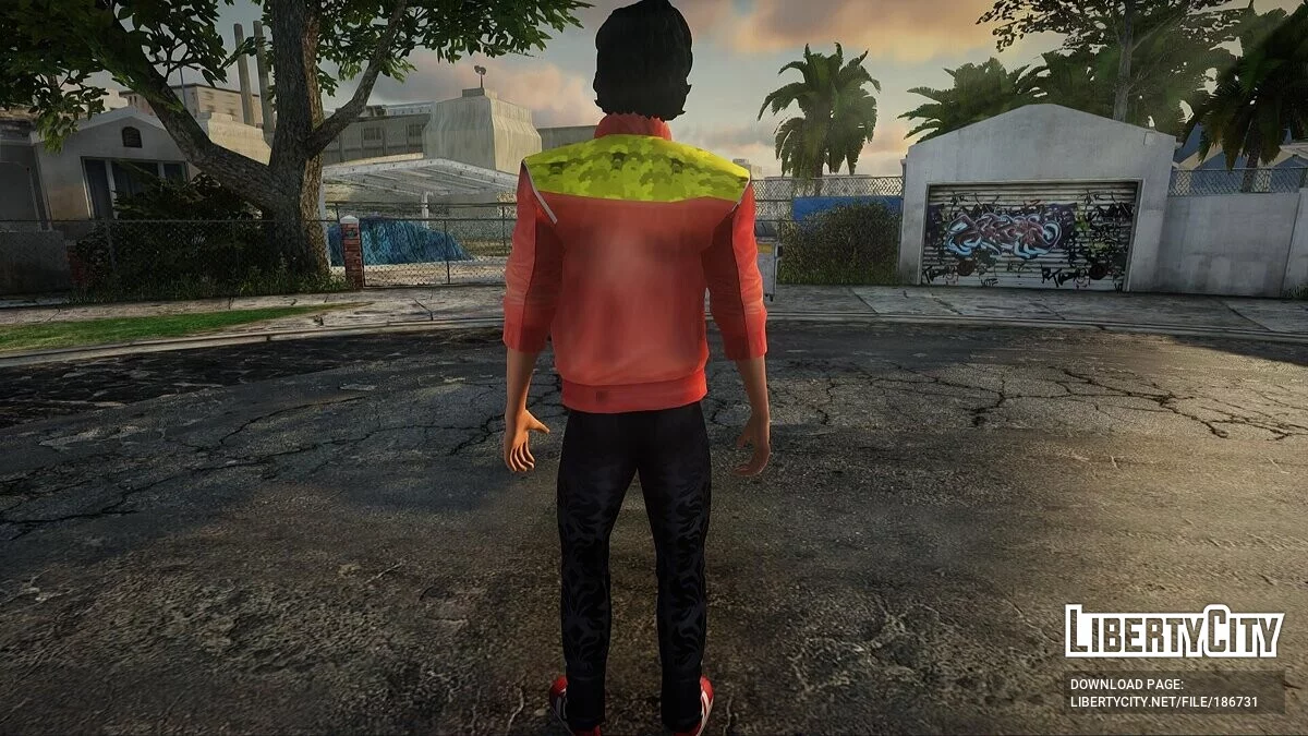 Pacote de Skins (VCS) #35 / GTA San Andreas